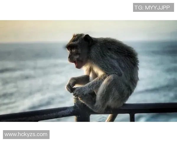 探寻足球明星背后的生肖秘密与男士魅力之谜 探寻足球明星背后的生肖秘密与男士魅力之谜