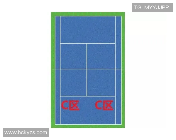 深入分析杭州网球队盯防战术的特点与应用策略