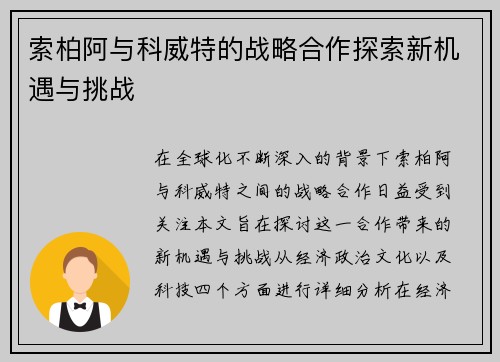 索柏阿与科威特的战略合作探索新机遇与挑战
